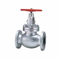 گلوب ولو استیل کیتز globe valve steel